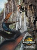 Affiche du film