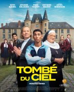Affiche : Tombé du ciel