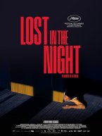 Affiche : Lost In The Night
