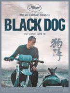 Affiche : Black Dog