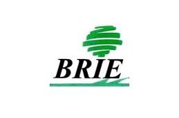 Brie