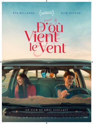 Affiche du film