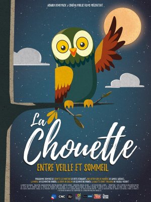 Affiche du film