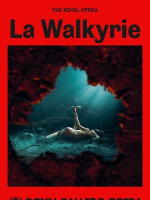 Affiche du film