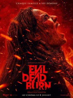 Affiche du film