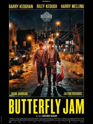 Affiche du film