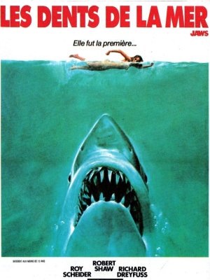 Affiche du film