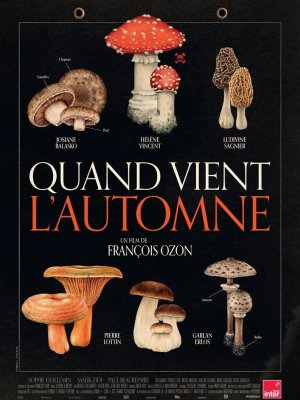 Affiche du film