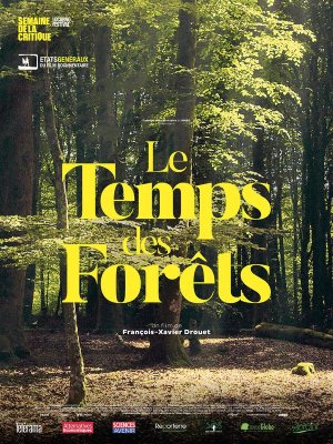Affiche du film